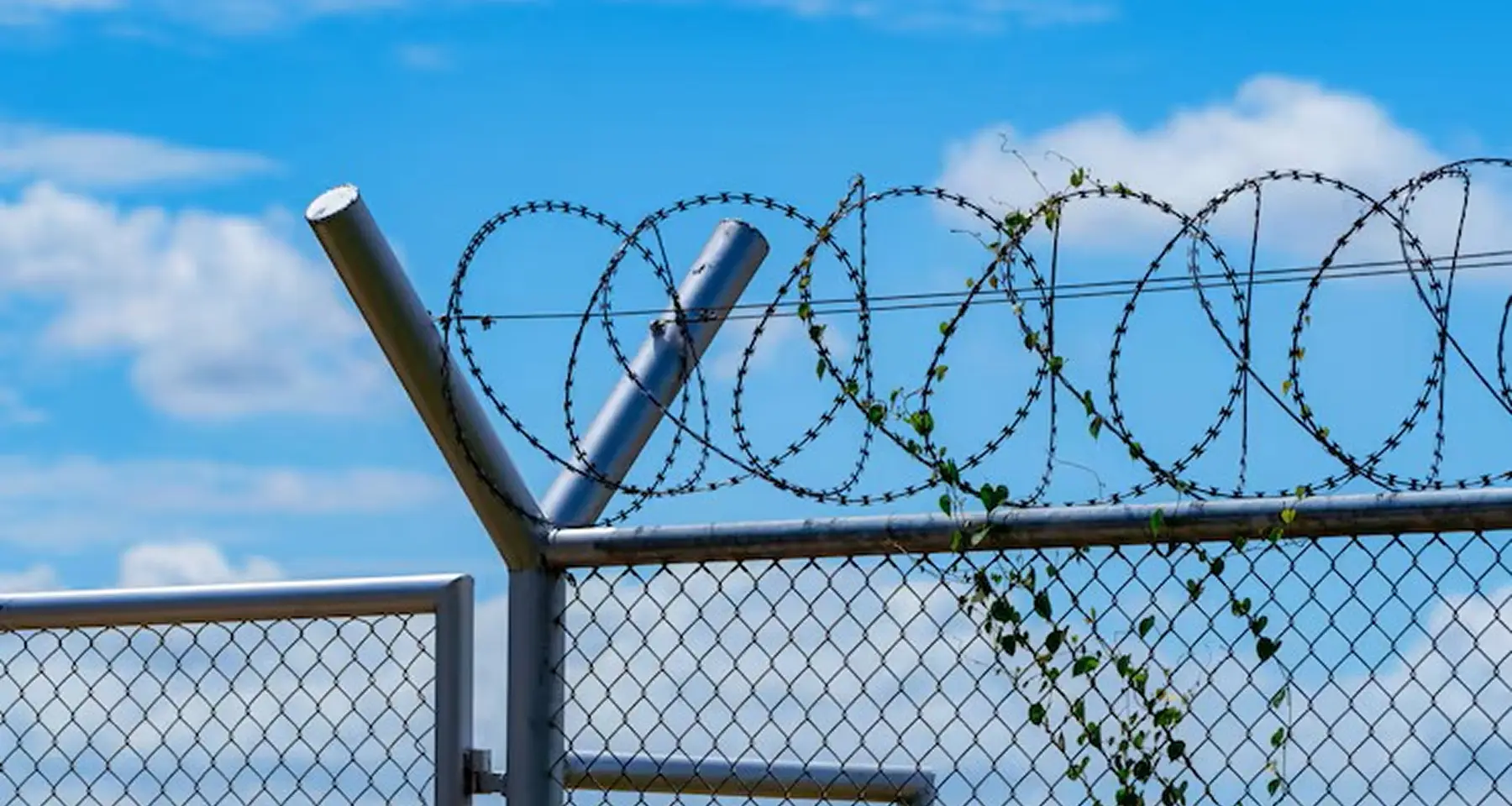Why Barbed Wire Remains the Most Reliable Security Solution