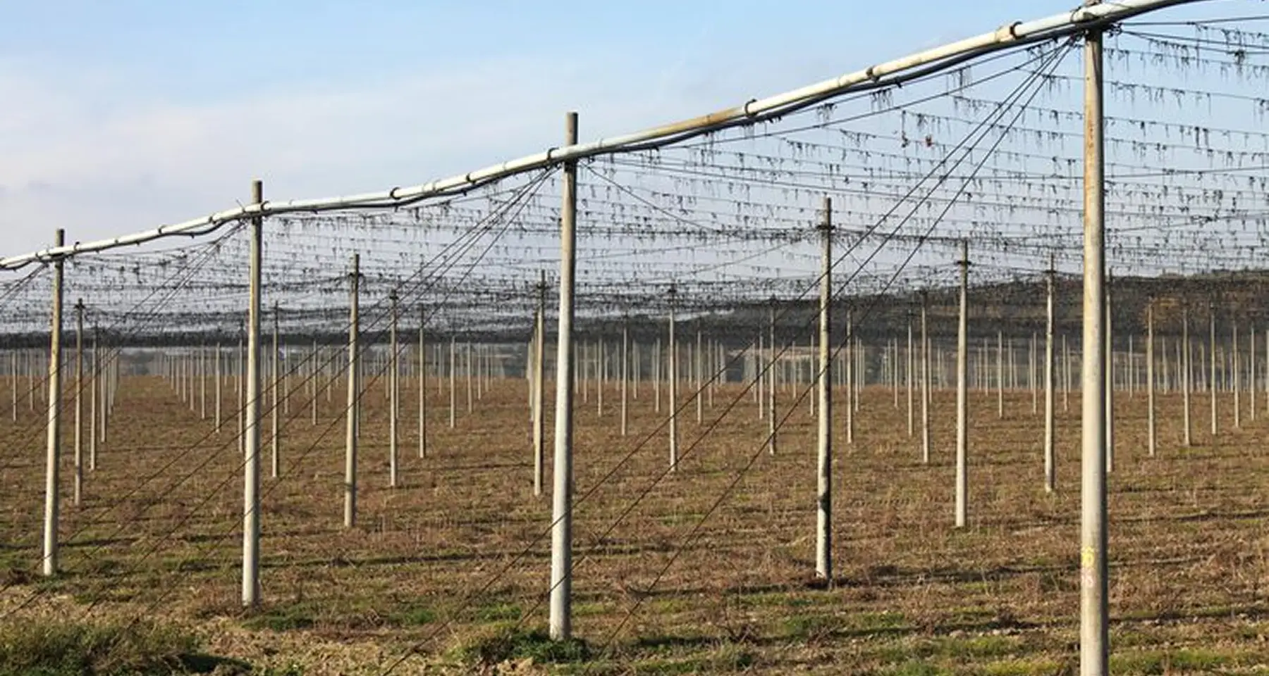 Top Uses of G.I. Wire in Construction, Agriculture, and Fencing